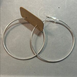 Elegant Silver Hoop Earrings